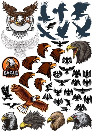 Eagle Silhouettes and Illustrations Vector Collection Free Vector
