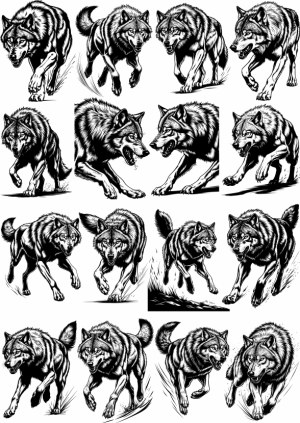 Set of Detailed Black and White Wolf Illustrations in Various Poses Free Vector