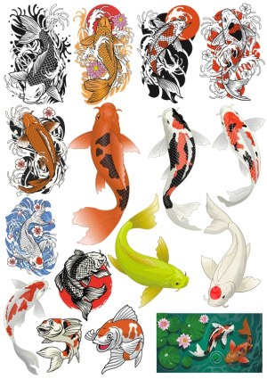 Koi Fish Vector Collection with Japanese Style and Color Variations Free Vector