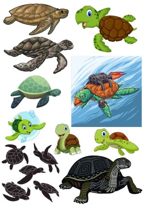 Collection of Sea Turtles and Tortoise Vector Illustrations Free Vector