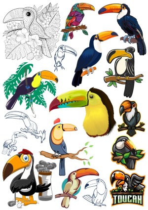 Collection of Colorful and Line Art Toucan Vector Illustrations Free Vector