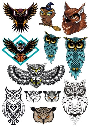 Collection of Stylized Owl Vector Illustrations Free Vector