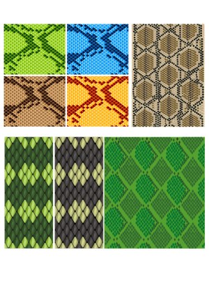 Set of Colorful Snake Skin Pattern Vectors Free Vector