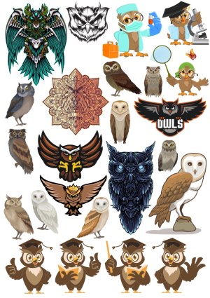 Collection of Stylized Owl Vectors and Owl Mascots Free Vector
