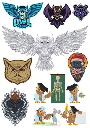 Collection of Artistic Owl Illustrations and Cartoon Owls in Various Themes Free Vector