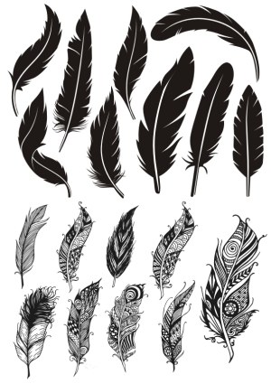 Collection of Black Silhouette and Ornate Feathers Vector Set Free Vector