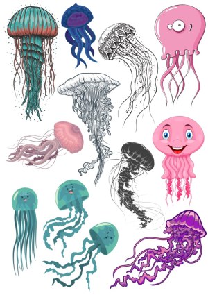 Diverse Colorful and Cartoon Jellyfish Vector Collection Free Vector