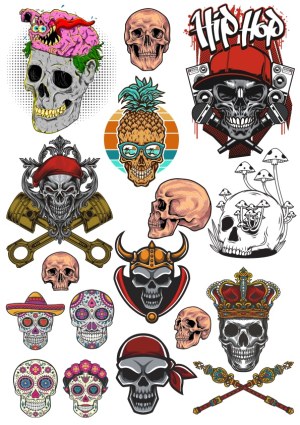 Collection of Detailed Skull Vector Illustrations Free Vector