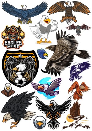 Collection of Eagle Vector Illustrations and Mascots Free Vector