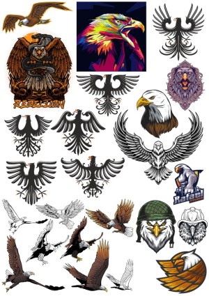 Collection of Eagle and Hawk Vector Illustrations and Emblems Free Vector