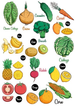 Hand-Drawn Fruits and Vegetables with Names Vector Illustration Free Vector