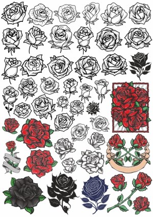 Collection of Black and Red Rose Vector Illustrations Free Vector