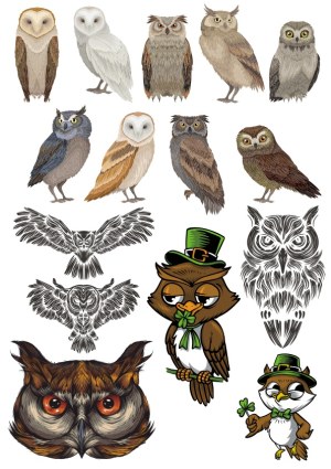 Detailed Owl Illustrations and Stylized Owl Mascots with Clover Free Vector