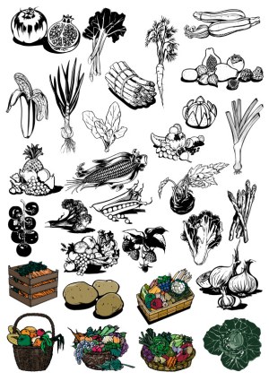 Hand-Drawn Vector Illustrations of Vegetables and Fruits Free Vector