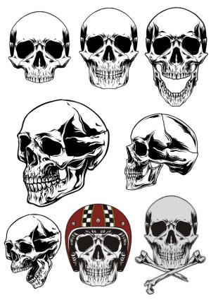Detailed Skull Vector Illustrations with Various Angles and Helmet Design Free Vector