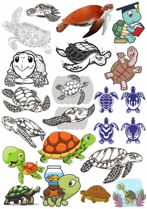 Collection of Turtle and Tortoise Vector Illustrations Free Vector