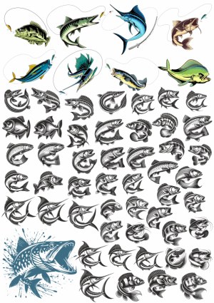 Detailed Vector Fish and Fishing Lure Collection Free Vector