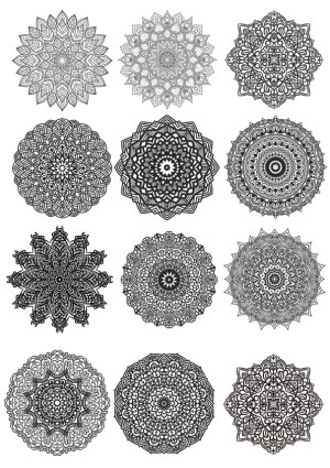 Set of Twelve Intricate Black and White Mandala Designs Free Vector