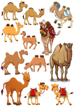 Cartoon and Realistic Camel Vector Set Free Vector