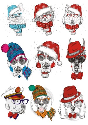 Stylish Dogs and Cats in Winter and Festive Accessories Free Vector