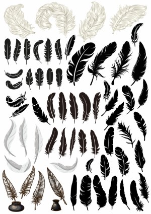 Collection of Various Feather Silhouettes and Sketches Free Vector
