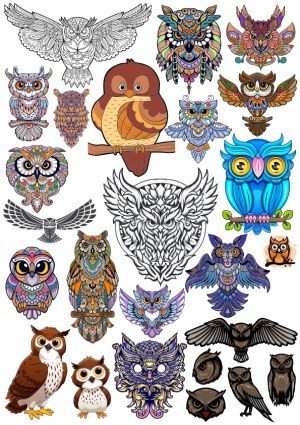 Collection of Diverse Owl Illustrations and Ornate Designs Free Vector