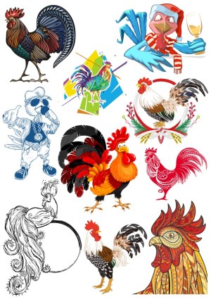 Collection of Colorful and Stylized Rooster Vector Illustrations Free Vector