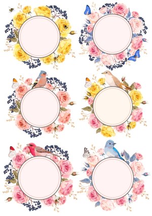 Floral Bird and Butterfly Round Frame Vector Set Free Vector