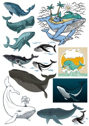 Collection of Whales Vector Illustrations and Artistic Designs Free Vector