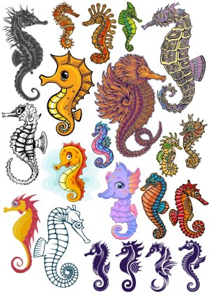 Collection of Colorful and Stylized Seahorse Vector Illustrations Free Vector
