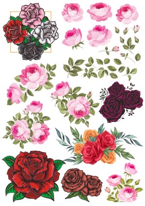 Collection of Detailed Vector Rose Flowers and Leaves Free Vector
