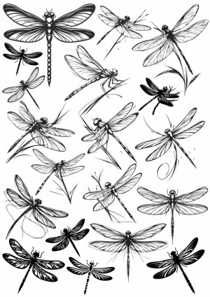 Detailed Black and White Dragonfly Vector Illustrations Free Vector