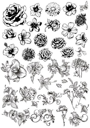 Black and White Floral Vector Illustrations and Decorative Swirls Free Vector