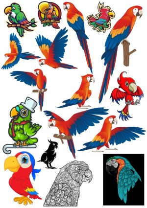 Colorful Macaw and Parrot Vector Collection Free Vector