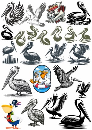 Collection of Pelican Vector Illustrations in Various Styles Free Vector