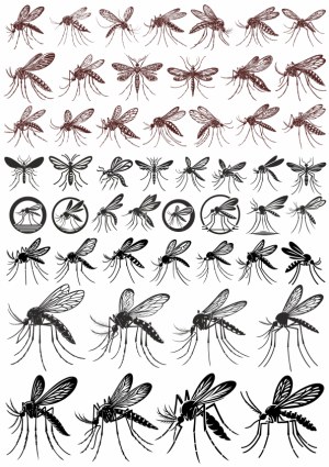 Collection of Mosquito Silhouettes and Line Art Vectors Free Vector