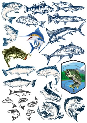 Collection of Detailed Fish Vector Illustrations for Fishing and Nature Themes Free Vector