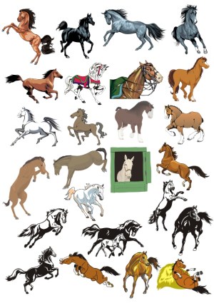 Collection of Various Horses in Different Poses and Styles Free Vector