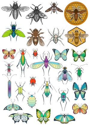 Collection of Various Insects and Butterflies Vector Set Free Vector