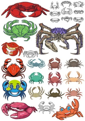 Collection of Colorful and Detailed Crab Vector Illustrations Free Vector