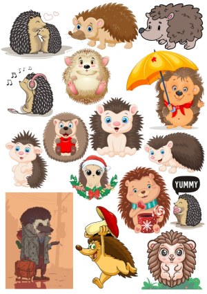 Collection of Cute and Cartoon Hedgehog Illustrations Free Vector