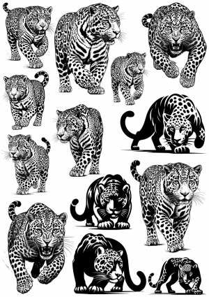 Black and White Jaguar Vector Illustrations in Various Poses Free Vector