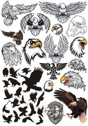Collection of Eagle and Hawk Vector Illustrations and Silhouettes Free Vector