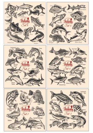 Set of American Fish Species Illustrations for Fishing Free Vector
