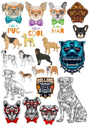 Variety of Dog Breeds with Cartoon and Detailed Line Art Styles Free Vector
