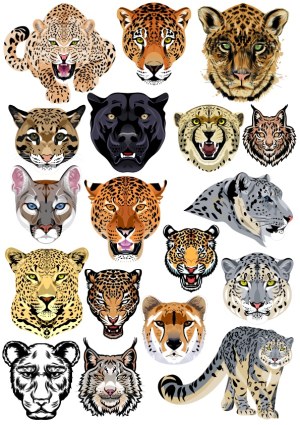 Vector Collection of Big Cat Faces and Expressions Free Vector