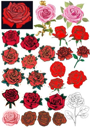Collection of Various Rose Flower Vector Illustrations Free Vector