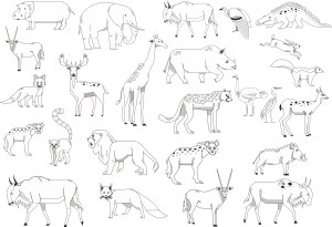 African Wildlife Vector Animals Collection Free Vector