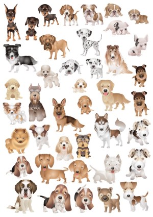 Collection of Various Dog Breeds Vector Illustrations Free Vector