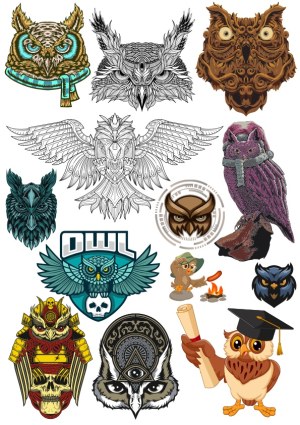 Diverse Owl Illustrations Collection Free Vector